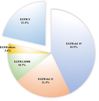 High rate of epidermal growth factor receptor-mutated primary lung cancer in patients with primary breast cancer